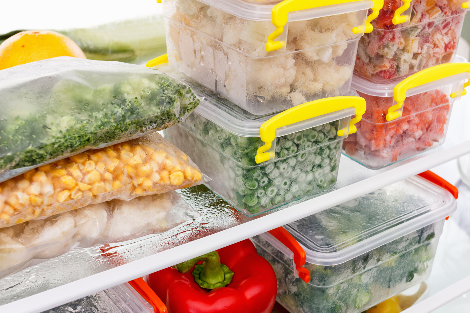 Frozen Food Storage Safety
