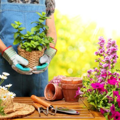 The benefits of gardening