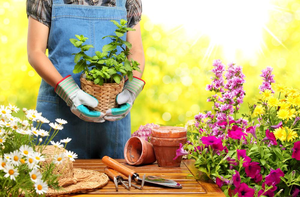 The benefits of gardening