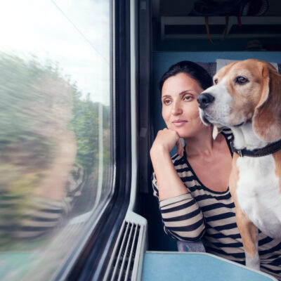 Pet-Friendly Travel Etiquette