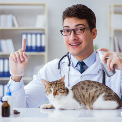 6 Telltale Signs Kitty Isn’t Feeling Well