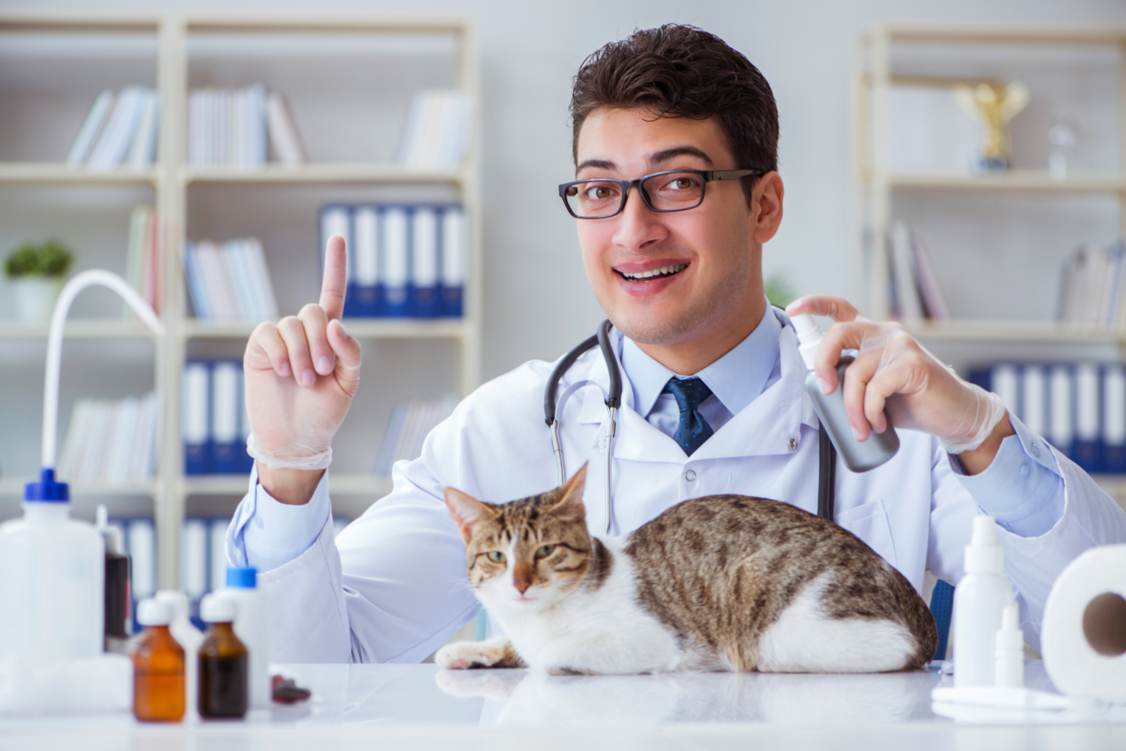 6 Telltale Signs Kitty Isn’t Feeling Well